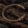 Bronze Thunderbird armring with bird head terminals photographed at an angle on rugged bark