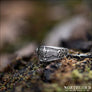 Raven Ring With Hail Odin Script Sterling Silver - Northlord