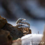 Dragon Claw Ring Sterling Silver - Northlord