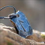 Laguz Rune Pendant Hand-Forged - Northlord