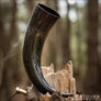 Natural Drinking Horn Medium Sized - Northlord