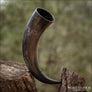 Natural Drinking Horn Medium Sized - Northlord