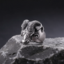 Silver Thor's ram head ring on a rocky surface