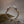 Fenrir Wolf Ring Adjustable Bronze - Northlord