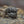 Huggin and Munnin Ring Stainless Steel - Northlord