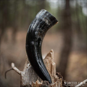 Large Natural Drinking Horn Curved Style - Northlord
