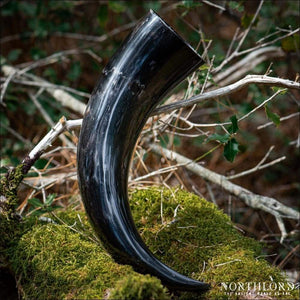 Natural Drinking Horn Medium Sized - Northlord