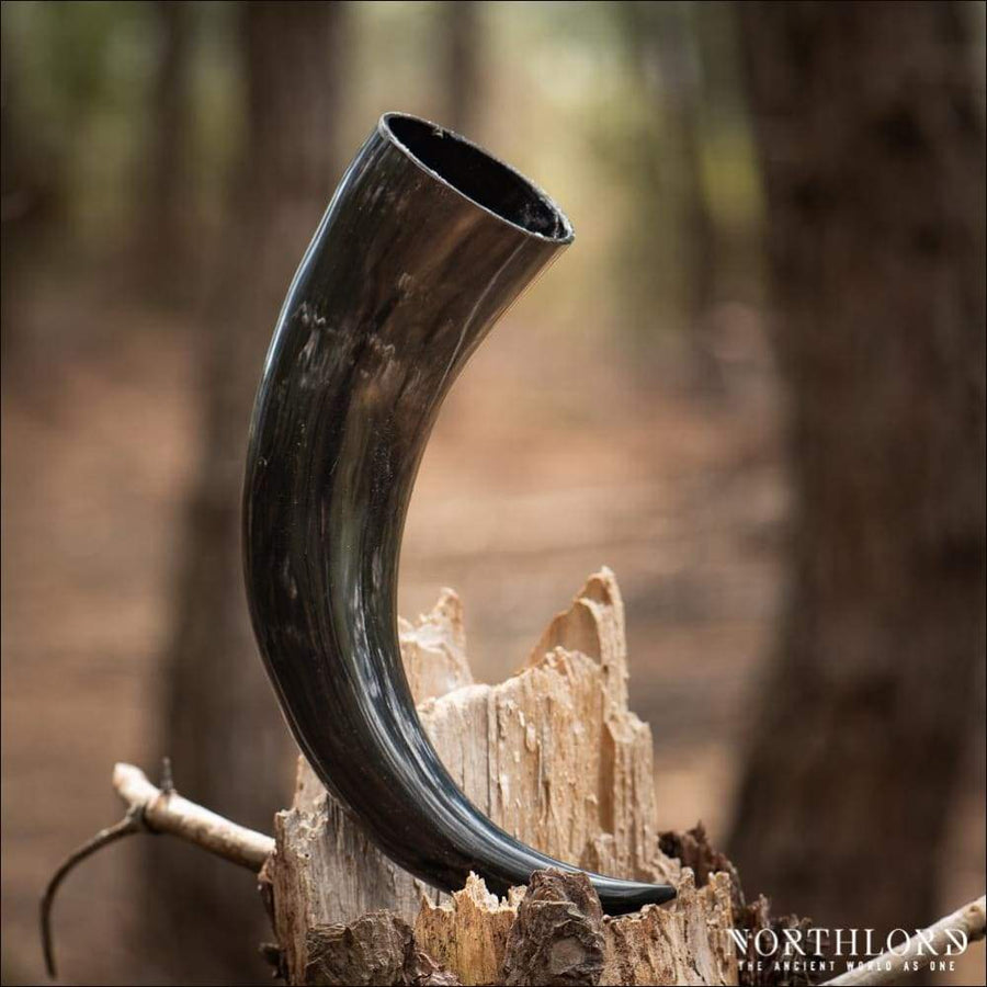 Natural Drinking Horn Medium Sized - Northlord