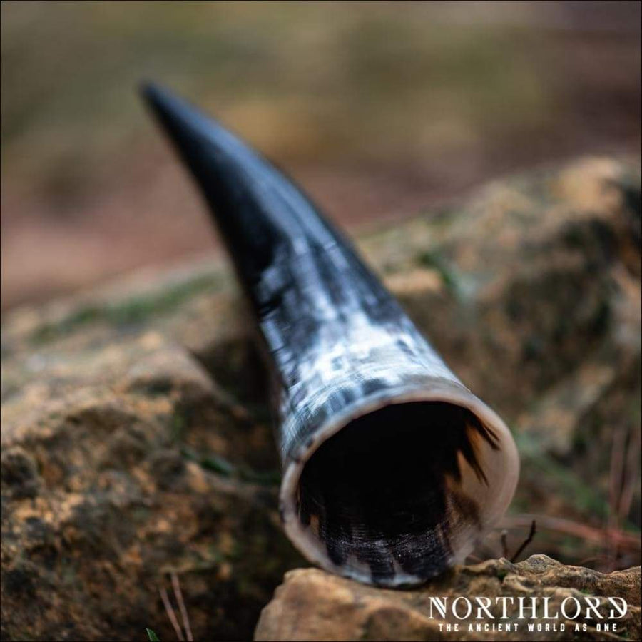 Natural Viking Drinking Horn - Northlord