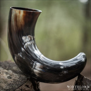 Extra Large Natural Drinking Horn Curved Style - Northlord