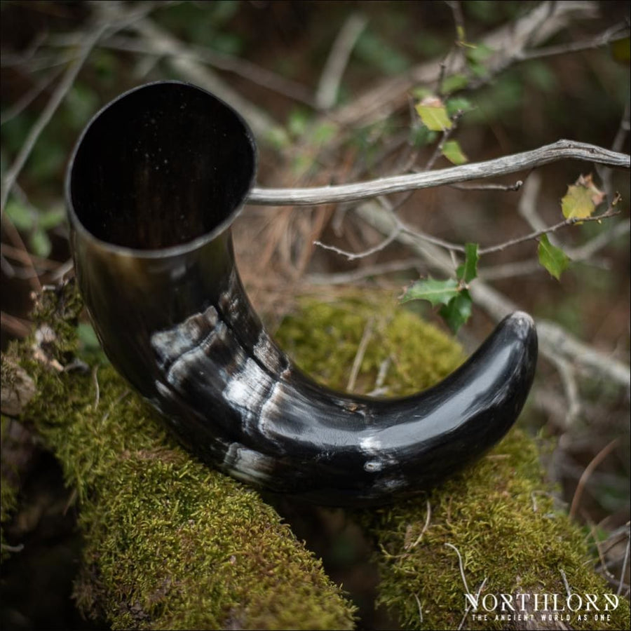 Extra Large Natural Drinking Horn Curved Style - Northlord